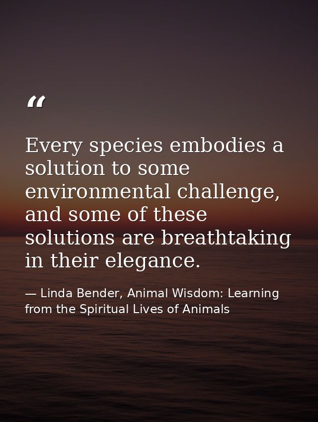 Every species embodies a solution to some environmental challenge, and some of these solutions are breathtaking in their — Linda Bender, Animal Wisdom: Learning from the Spiritual Lives of Animals