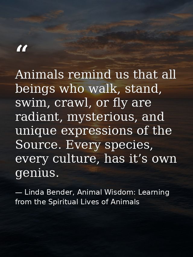 Animals remind us that all beings who walk, stand, swim, crawl, or fly are radiant, mysterious, and unique expressions o — Linda Bender, Animal Wisdom: Learning from the Spiritual Lives of Animals