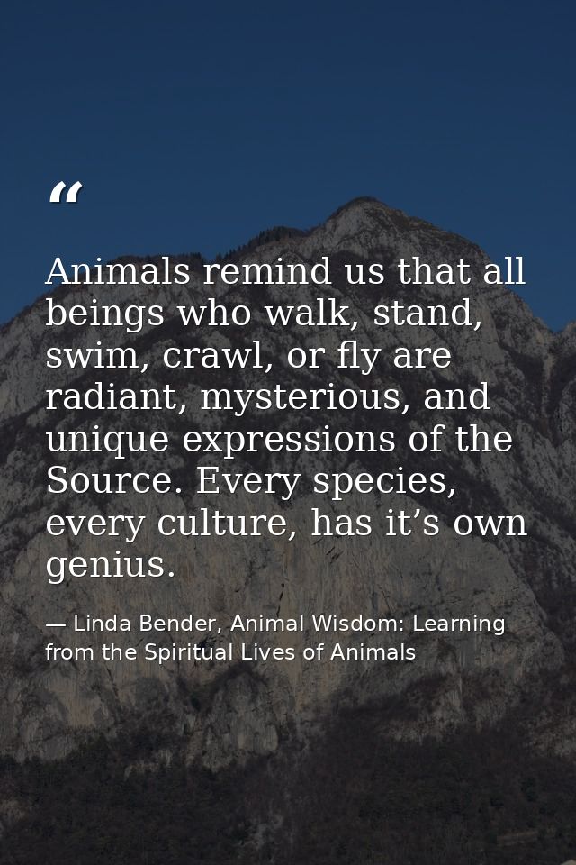Animals remind us that all beings who walk, stand, swim, crawl, or fly are radiant, mysterious, and unique expressions o — Linda Bender, Animal Wisdom: Learning from the Spiritual Lives of Animals