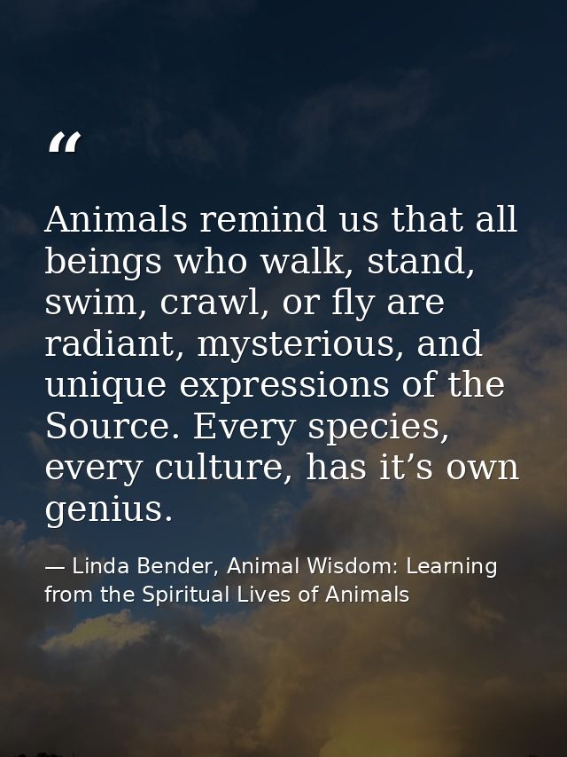 Animals remind us that all beings who walk, stand, swim, crawl, or fly are radiant, mysterious, and unique expressions o — Linda Bender, Animal Wisdom: Learning from the Spiritual Lives of Animals