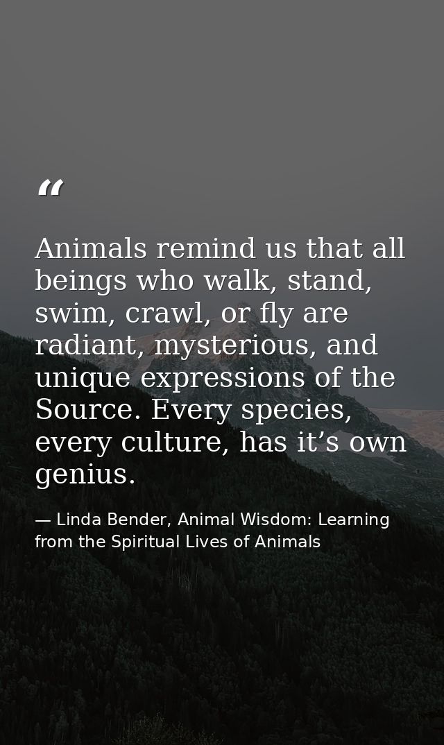 Animals remind us that all beings who walk, stand, swim, crawl, or fly are radiant, mysterious, and unique expressions o — Linda Bender, Animal Wisdom: Learning from the Spiritual Lives of Animals