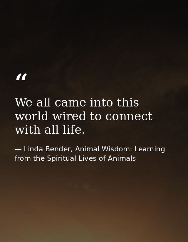 We all came into this world wired to connect with all life. — Linda Bender, Animal Wisdom: Learning from the Spiritual Lives of Animals