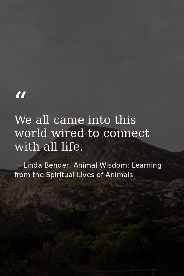 We all came into this world wired to connect with all life. — Linda Bender, Animal Wisdom: Learning from the Spiritual Lives of Animals