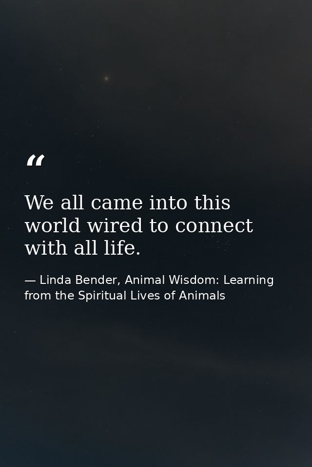 We all came into this world wired to connect with all life. — Linda Bender, Animal Wisdom: Learning from the Spiritual Lives of Animals