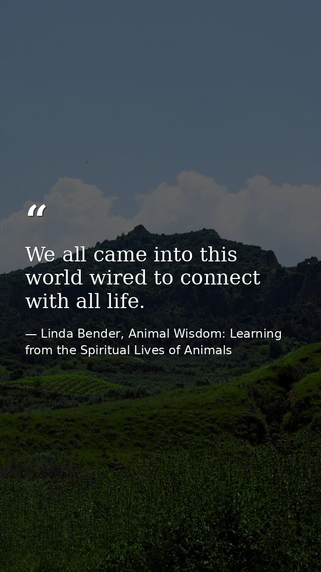 We all came into this world wired to connect with all life. — Linda Bender, Animal Wisdom: Learning from the Spiritual Lives of Animals