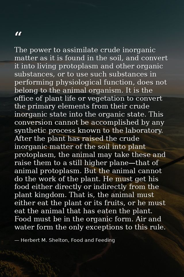 The power to assimilate crude inorganic matter as it is found in the soil, and convert it into living protoplasm and oth — Herbert M. Shelton, Food and Feeding