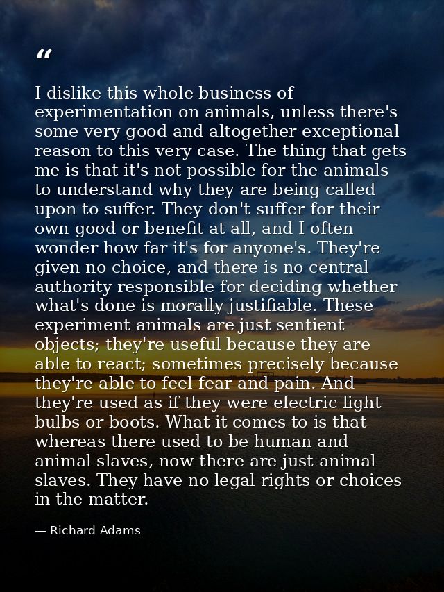 I dislike this whole business of experimentation on animals, unless there's some very good and altogether exceptional re — Richard Adams