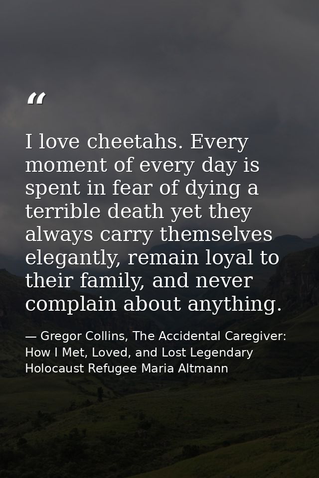I love cheetahs. Every moment of every day is spent in fear of dying a terrible death yet they always carry themselves e — Gregor Collins, The Accidental Caregiver: How I Met, Loved, and Lost Legendary Holocaust Refugee Maria Altmann