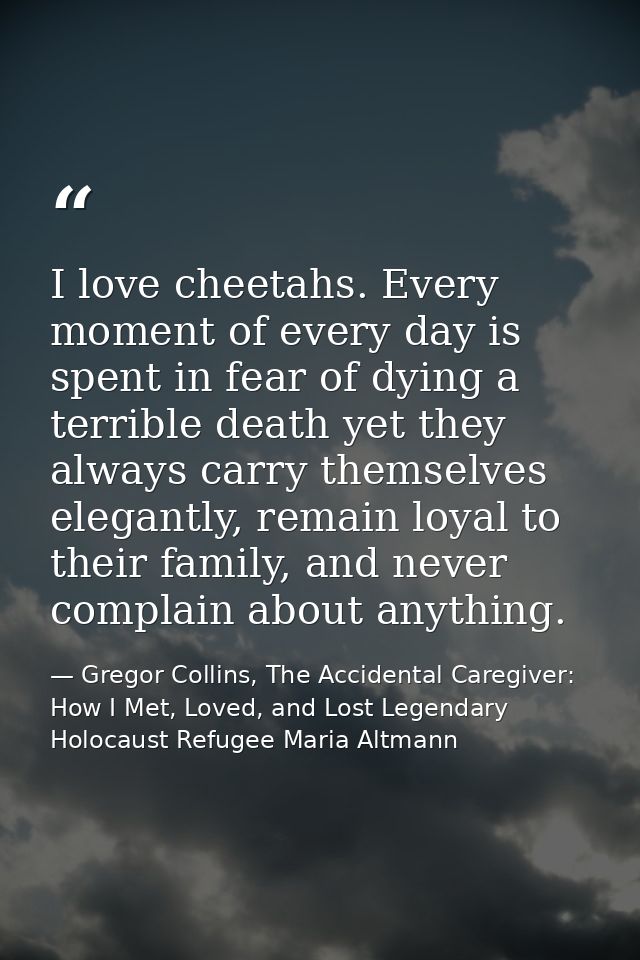 I love cheetahs. Every moment of every day is spent in fear of dying a terrible death yet they always carry themselves e — Gregor Collins, The Accidental Caregiver: How I Met, Loved, and Lost Legendary Holocaust Refugee Maria Altmann