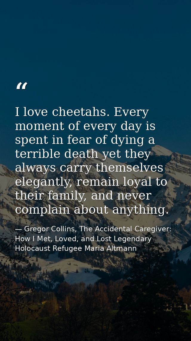 I love cheetahs. Every moment of every day is spent in fear of dying a terrible death yet they always carry themselves e — Gregor Collins, The Accidental Caregiver: How I Met, Loved, and Lost Legendary Holocaust Refugee Maria Altmann