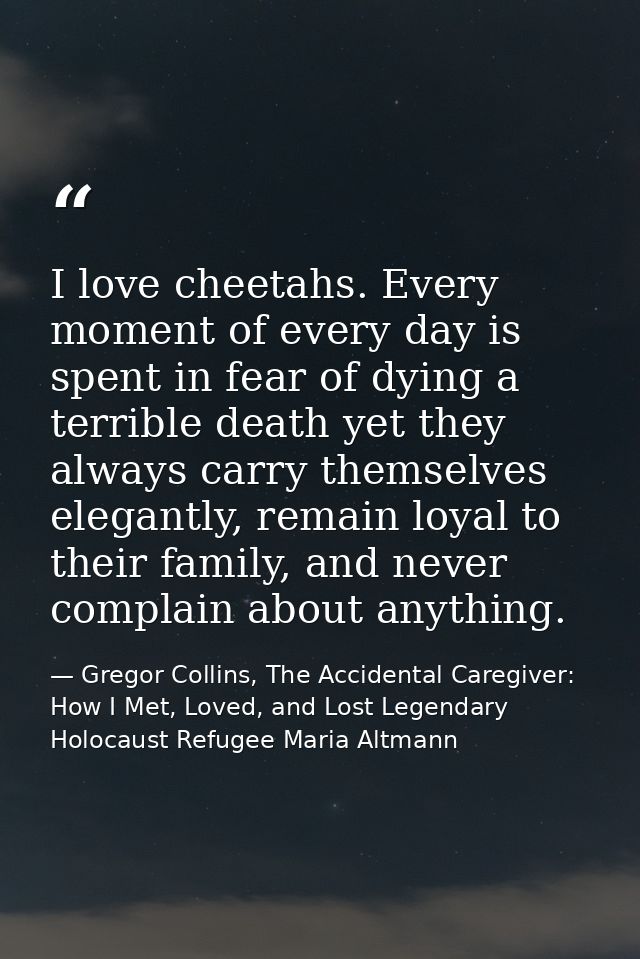 I love cheetahs. Every moment of every day is spent in fear of dying a terrible death yet they always carry themselves e — Gregor Collins, The Accidental Caregiver: How I Met, Loved, and Lost Legendary Holocaust Refugee Maria Altmann