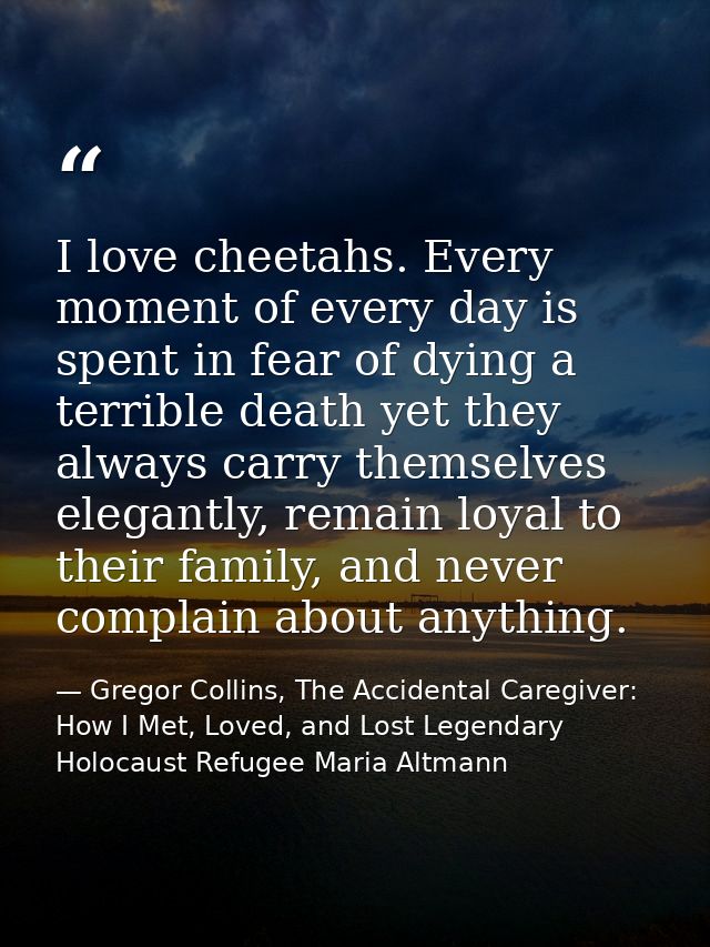 I love cheetahs. Every moment of every day is spent in fear of dying a terrible death yet they always carry themselves e — Gregor Collins, The Accidental Caregiver: How I Met, Loved, and Lost Legendary Holocaust Refugee Maria Altmann
