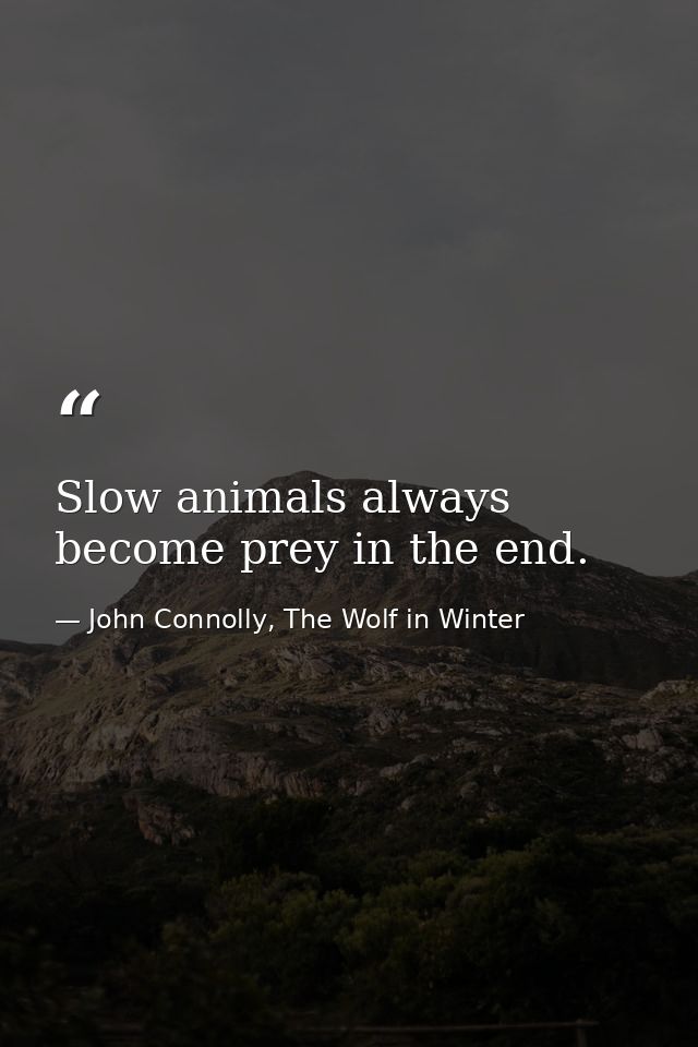 Slow animals always become prey in the end. — John Connolly, The Wolf in Winter