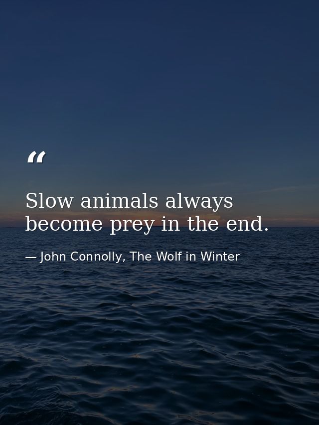 Slow animals always become prey in the end. — John Connolly, The Wolf in Winter