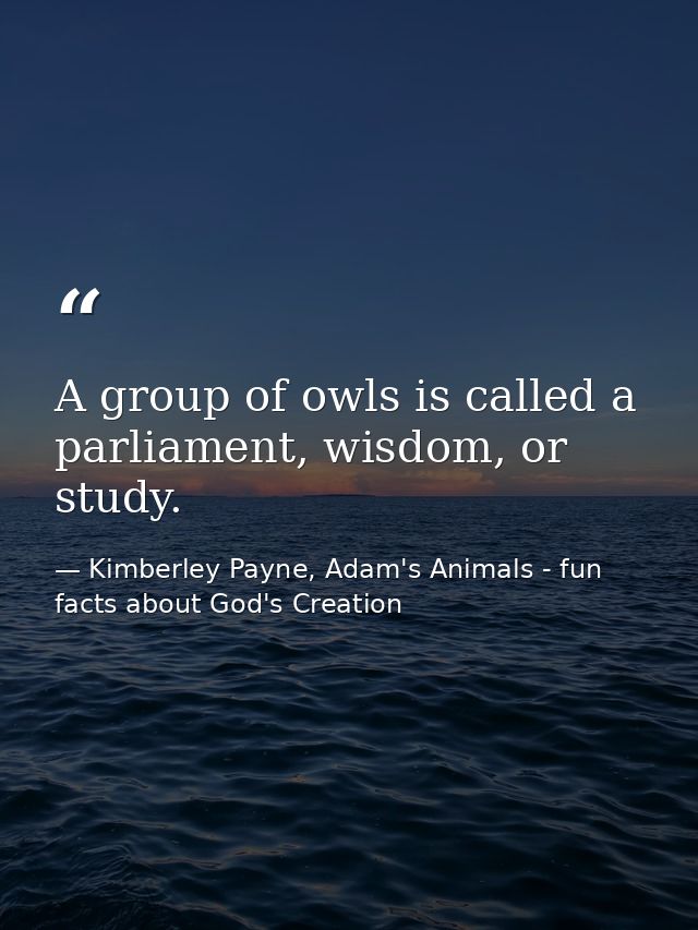 A group of owls is called a parliament, wisdom, or study. — Kimberley Payne, Adam's Animals - fun facts about God's Creation