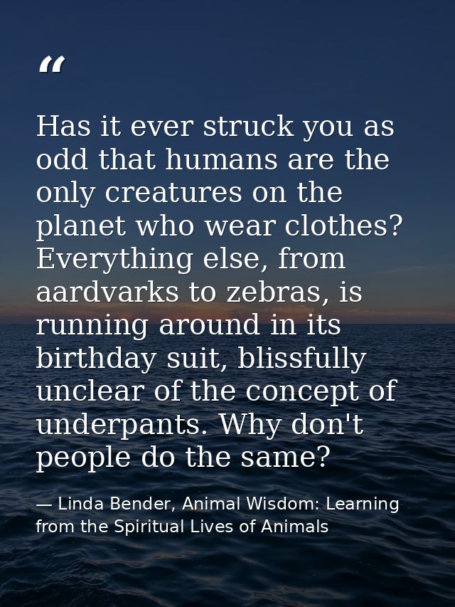 Has it ever struck you as odd that humans are the only creatures on the planet who wear clothes? Everything else, from a — Linda Bender, Animal Wisdom: Learning from the Spiritual Lives of Animals
