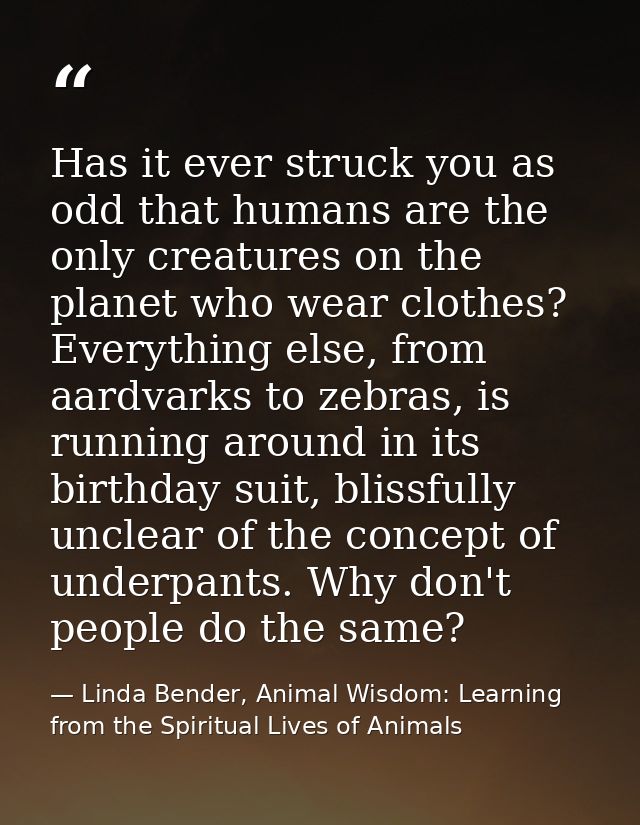 Has it ever struck you as odd that humans are the only creatures on the planet who wear clothes? Everything else, from a — Linda Bender, Animal Wisdom: Learning from the Spiritual Lives of Animals