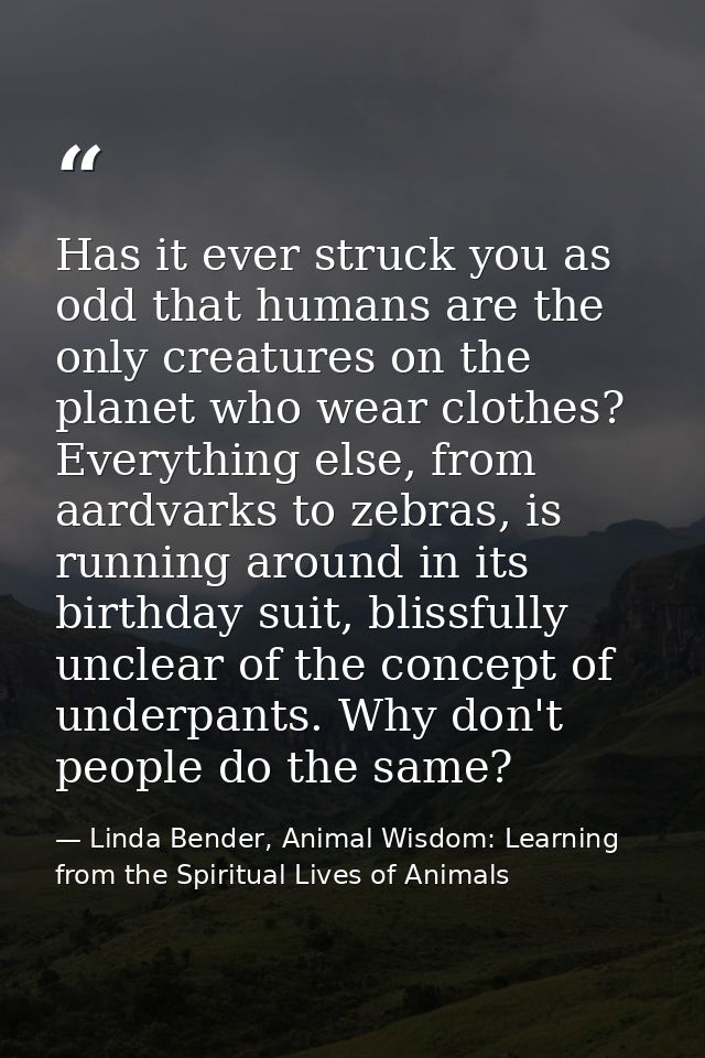 Has it ever struck you as odd that humans are the only creatures on the planet who wear clothes? Everything else, from a — Linda Bender, Animal Wisdom: Learning from the Spiritual Lives of Animals
