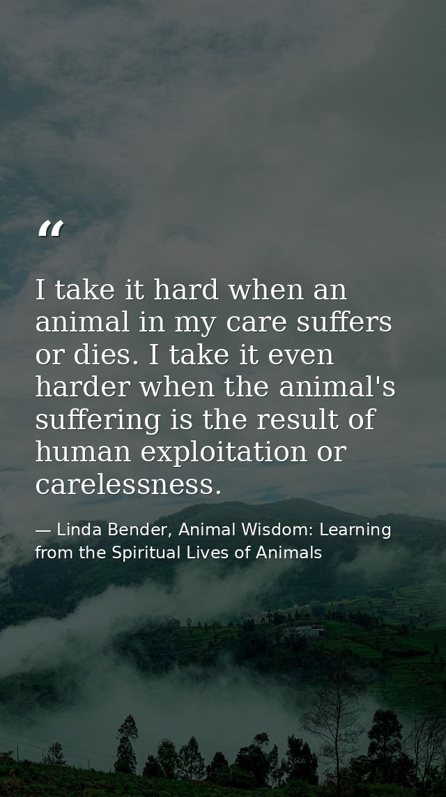 I take it hard when an animal in my care suffers or dies. I take it even harder when the animal's suffering is the resul — Linda Bender, Animal Wisdom: Learning from the Spiritual Lives of Animals