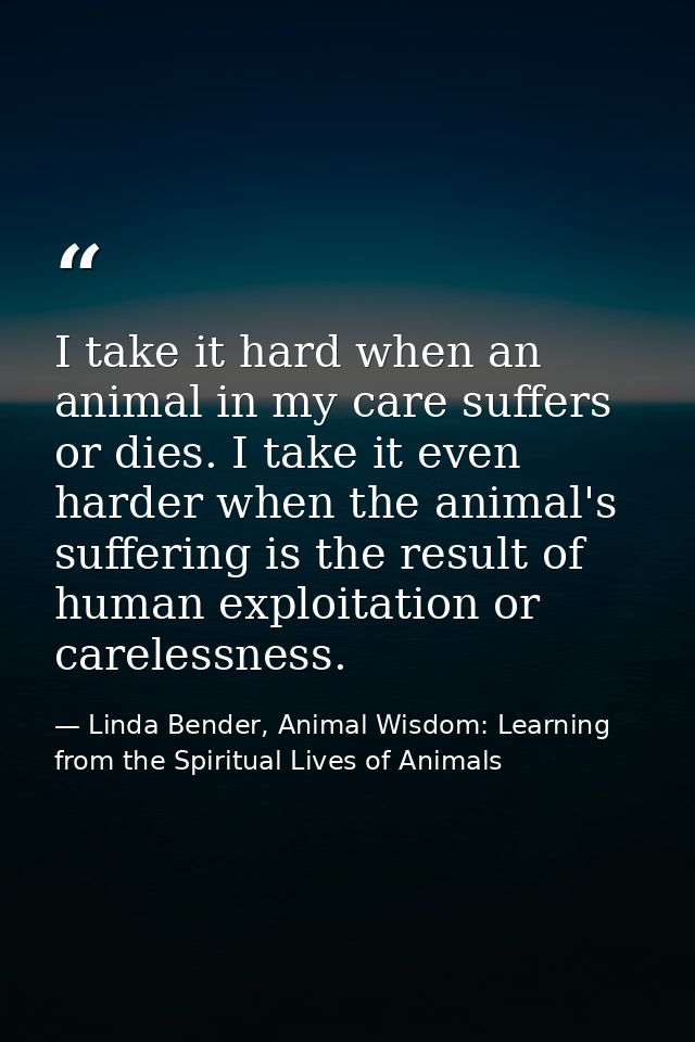 I take it hard when an animal in my care suffers or dies. I take it even harder when the animal's suffering is the resul — Linda Bender, Animal Wisdom: Learning from the Spiritual Lives of Animals