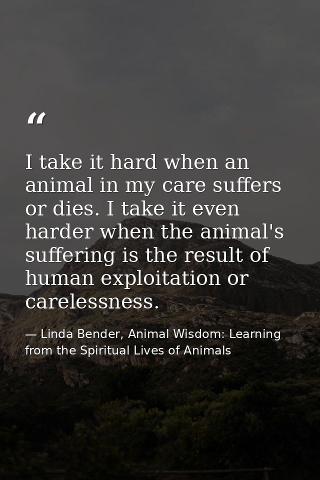 I take it hard when an animal in my care suffers or dies. I take it even harder when the animal's suffering is the resul — Linda Bender, Animal Wisdom: Learning from the Spiritual Lives of Animals