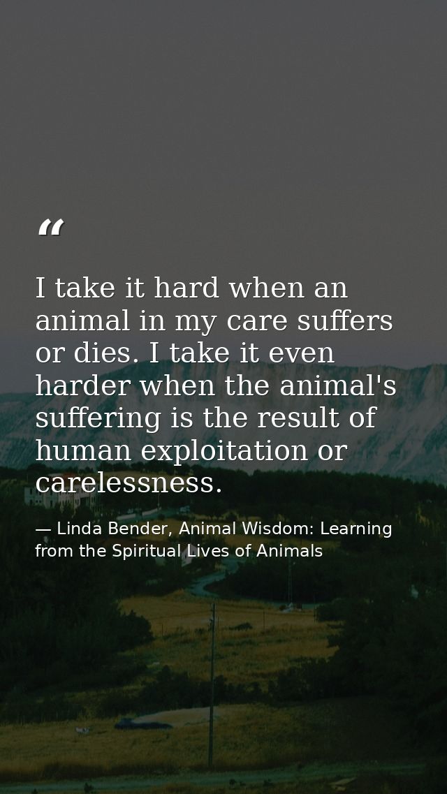 I take it hard when an animal in my care suffers or dies. I take it even harder when the animal's suffering is the resul — Linda Bender, Animal Wisdom: Learning from the Spiritual Lives of Animals