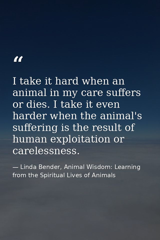 I take it hard when an animal in my care suffers or dies. I take it even harder when the animal's suffering is the resul — Linda Bender, Animal Wisdom: Learning from the Spiritual Lives of Animals