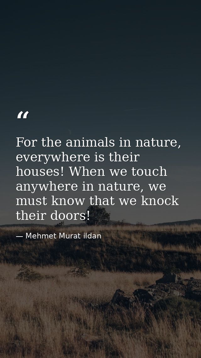 For the animals in nature, everywhere is their houses! When we touch anywhere in nature, we must know that we knock thei — Mehmet Murat ildan