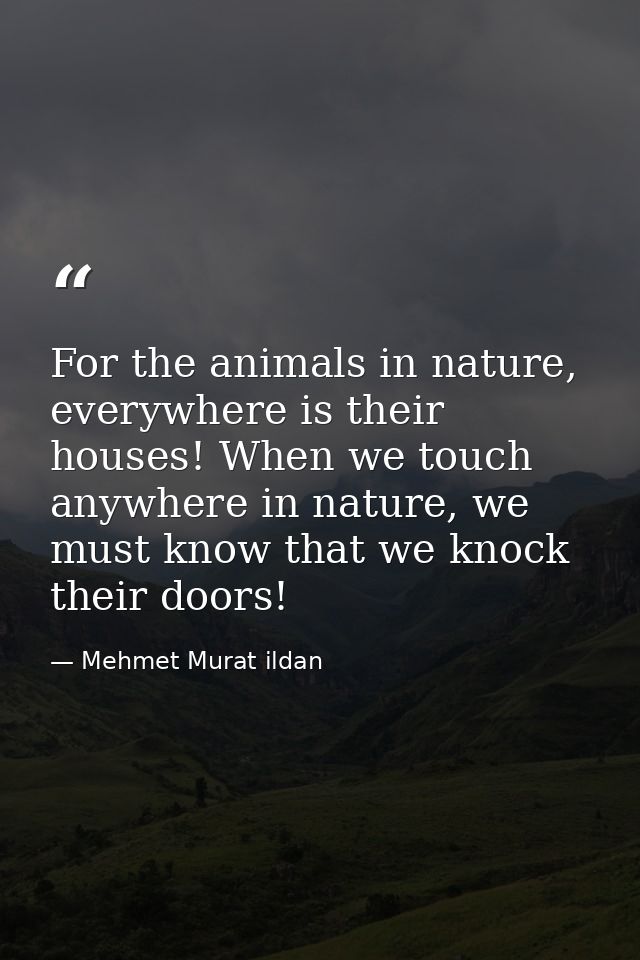 For the animals in nature, everywhere is their houses! When we touch anywhere in nature, we must know that we knock thei — Mehmet Murat ildan