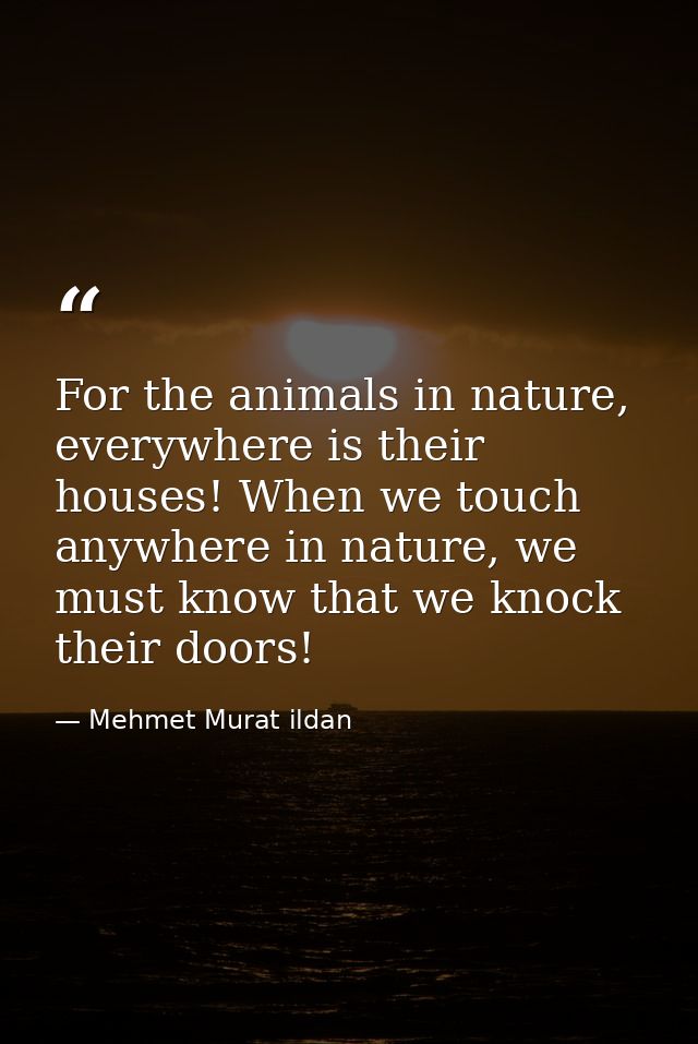 For the animals in nature, everywhere is their houses! When we touch anywhere in nature, we must know that we knock thei — Mehmet Murat ildan