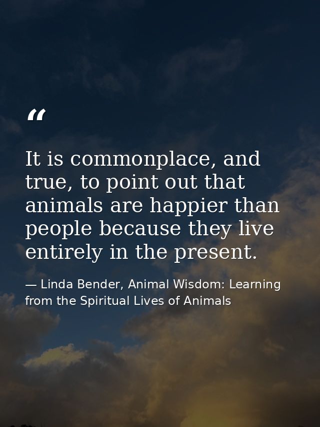 It is commonplace, and true, to point out that animals are happier than people because they live entirely in the present — Linda Bender, Animal Wisdom: Learning from the Spiritual Lives of Animals