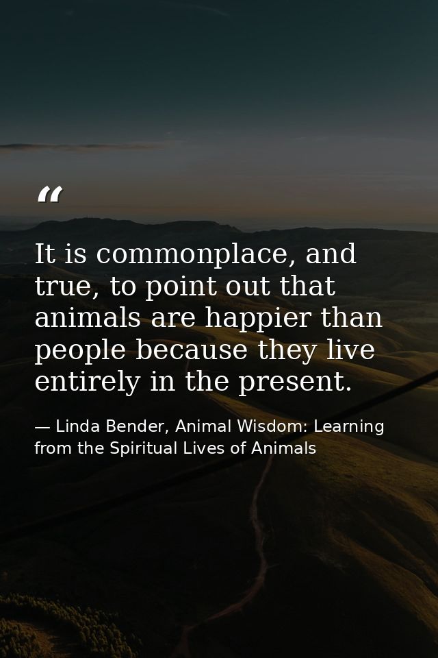It is commonplace, and true, to point out that animals are happier than people because they live entirely in the present — Linda Bender, Animal Wisdom: Learning from the Spiritual Lives of Animals