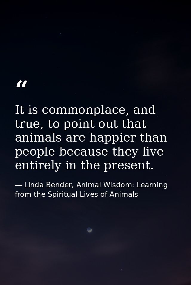 It is commonplace, and true, to point out that animals are happier than people because they live entirely in the present — Linda Bender, Animal Wisdom: Learning from the Spiritual Lives of Animals