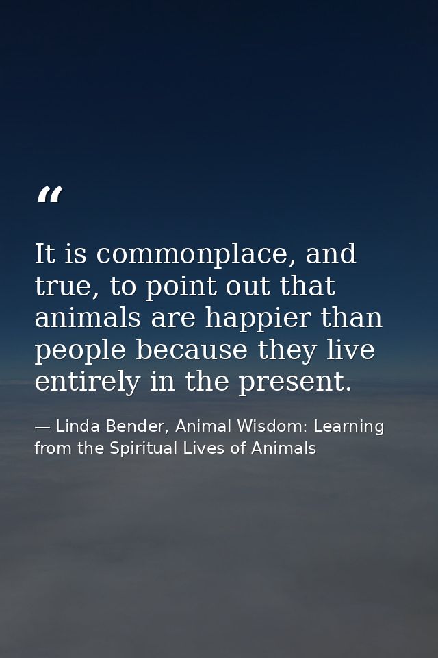 It is commonplace, and true, to point out that animals are happier than people because they live entirely in the present — Linda Bender, Animal Wisdom: Learning from the Spiritual Lives of Animals