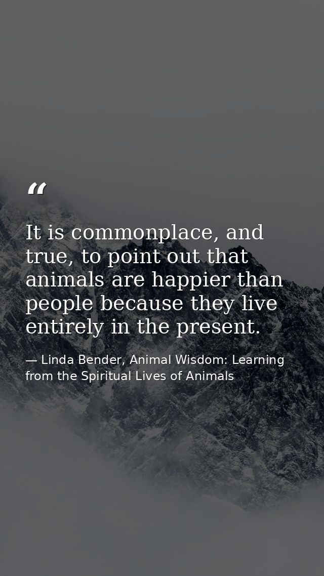 It is commonplace, and true, to point out that animals are happier than people because they live entirely in the present — Linda Bender, Animal Wisdom: Learning from the Spiritual Lives of Animals