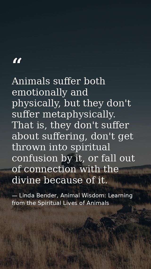 Animals suffer both emotionally and physically, but they don't suffer metaphysically. That is, they don't suffer about s — Linda Bender, Animal Wisdom: Learning from the Spiritual Lives of Animals