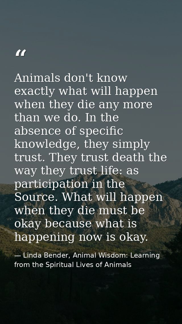 Animals don't know exactly what will happen when they die any more than we do. In the absence of specific knowledge, the — Linda Bender, Animal Wisdom: Learning from the Spiritual Lives of Animals