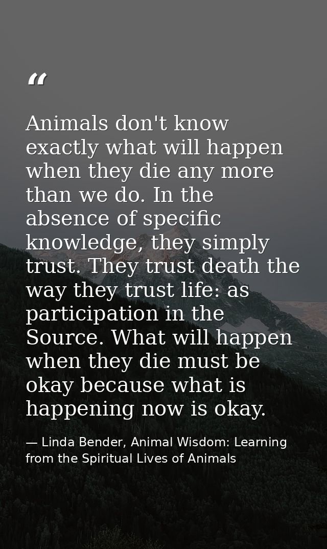 Animals don't know exactly what will happen when they die any more than we do. In the absence of specific knowledge, the — Linda Bender, Animal Wisdom: Learning from the Spiritual Lives of Animals