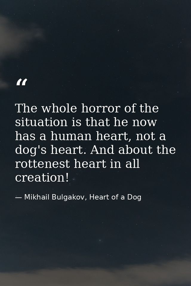 The whole horror of the situation is that he now has a human heart, not a dog's heart. And about the rottenest heart in  — Mikhail Bulgakov, Heart of a Dog