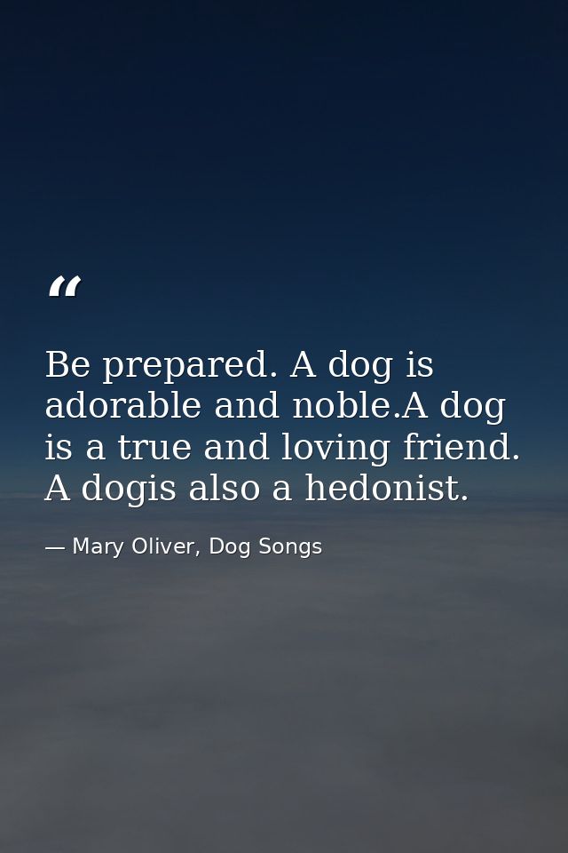 Be prepared. A dog is adorable and noble.A dog is a true and loving friend. A dogis also a hedonist. — Mary Oliver, Dog Songs