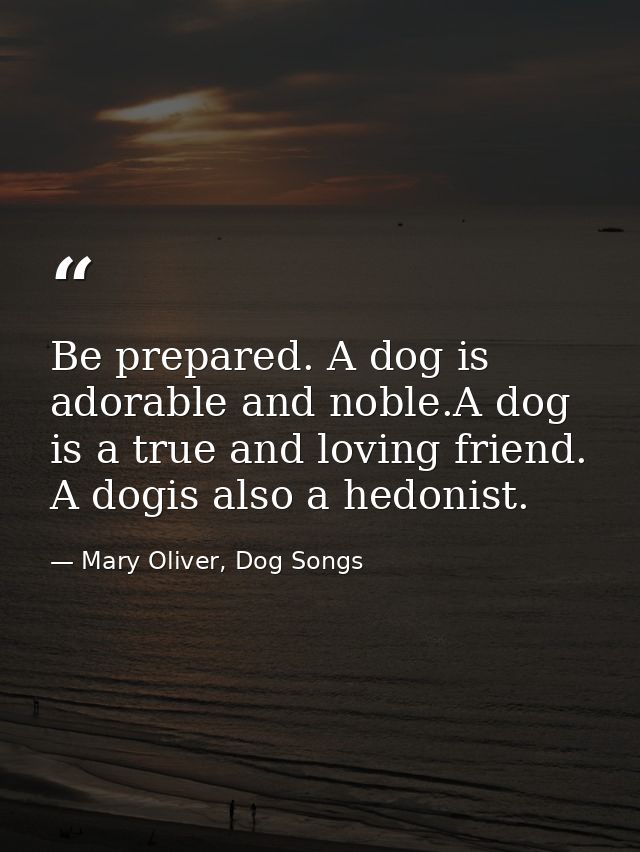 Be prepared. A dog is adorable and noble.A dog is a true and loving friend. A dogis also a hedonist. — Mary Oliver, Dog Songs