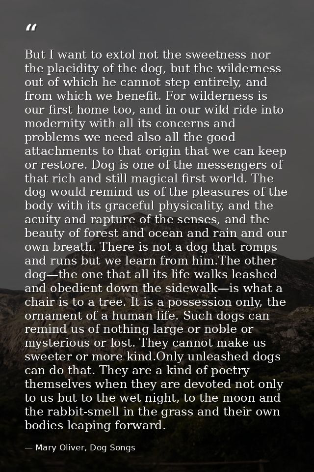 But I want to extol not the sweetness nor the placidity of the dog, but the wilderness out of which he cannot step entir — Mary Oliver, Dog Songs