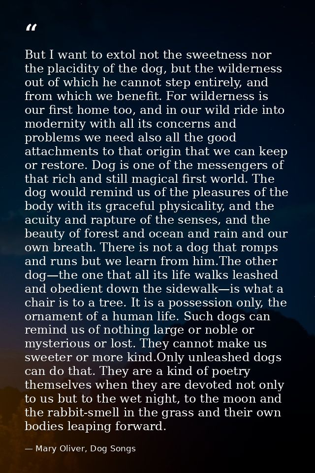 But I want to extol not the sweetness nor the placidity of the dog, but the wilderness out of which he cannot step entir — Mary Oliver, Dog Songs