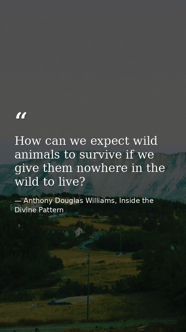 How can we expect wild animals to survive if we give them nowhere in the wild to live? — Anthony Douglas Williams, Inside the Divine Pattern