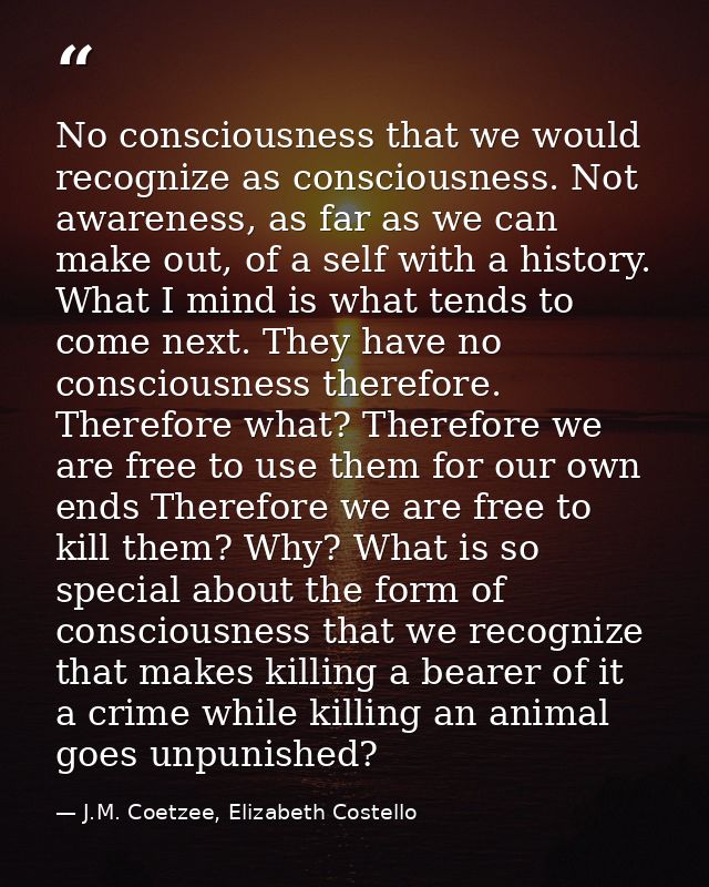 No consciousness that we would recognize as consciousness. Not awareness, as far as we can make out, of a self with a hi — J.M. Coetzee, Elizabeth Costello