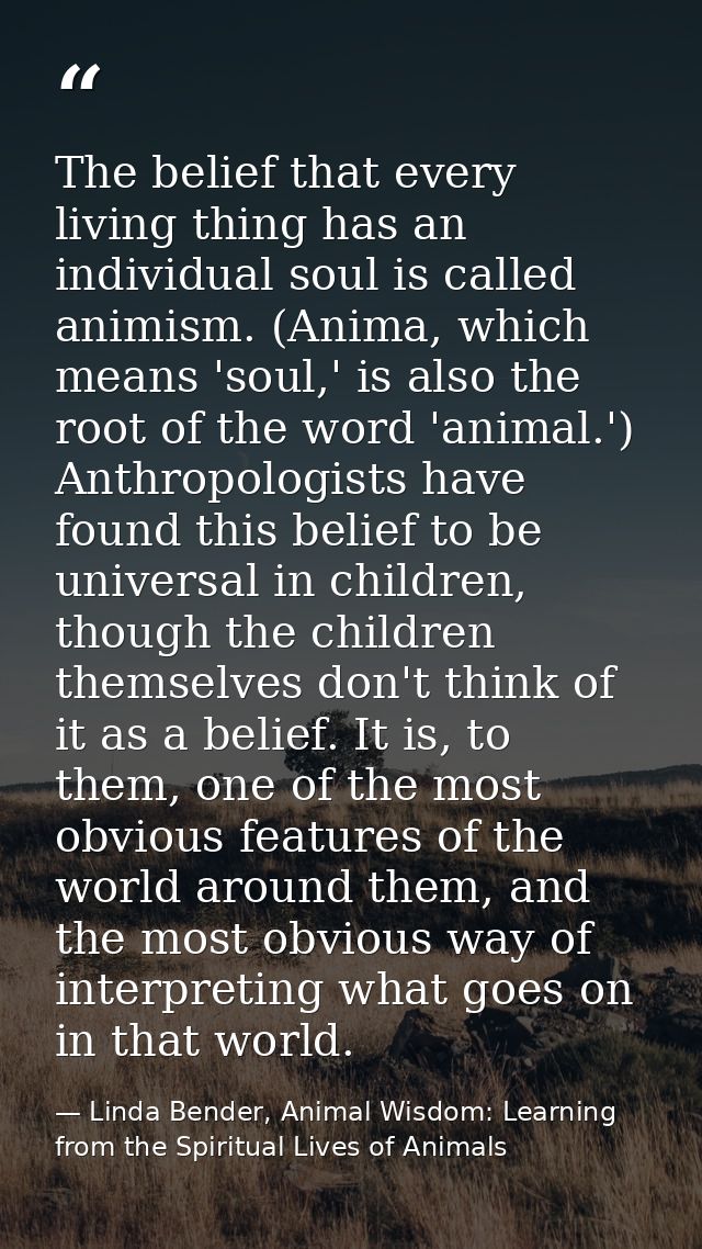 The belief that every living thing has an individual soul is called animism. (Anima, which means 'soul,' is also the roo — Linda Bender, Animal Wisdom: Learning from the Spiritual Lives of Animals