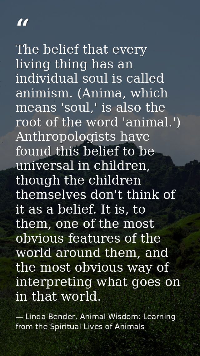 The belief that every living thing has an individual soul is called animism. (Anima, which means 'soul,' is also the roo — Linda Bender, Animal Wisdom: Learning from the Spiritual Lives of Animals