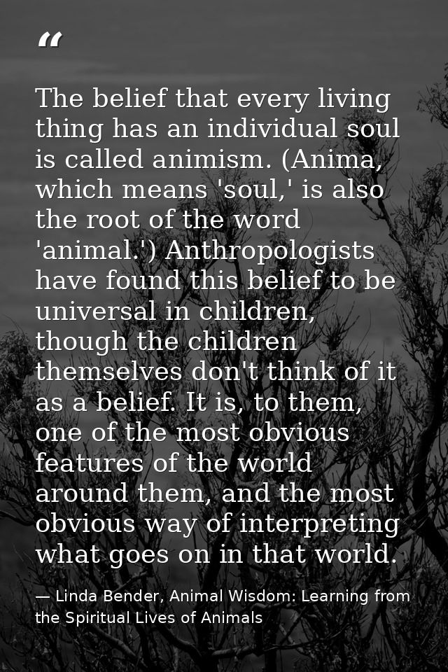 The belief that every living thing has an individual soul is called animism. (Anima, which means 'soul,' is also the roo — Linda Bender, Animal Wisdom: Learning from the Spiritual Lives of Animals