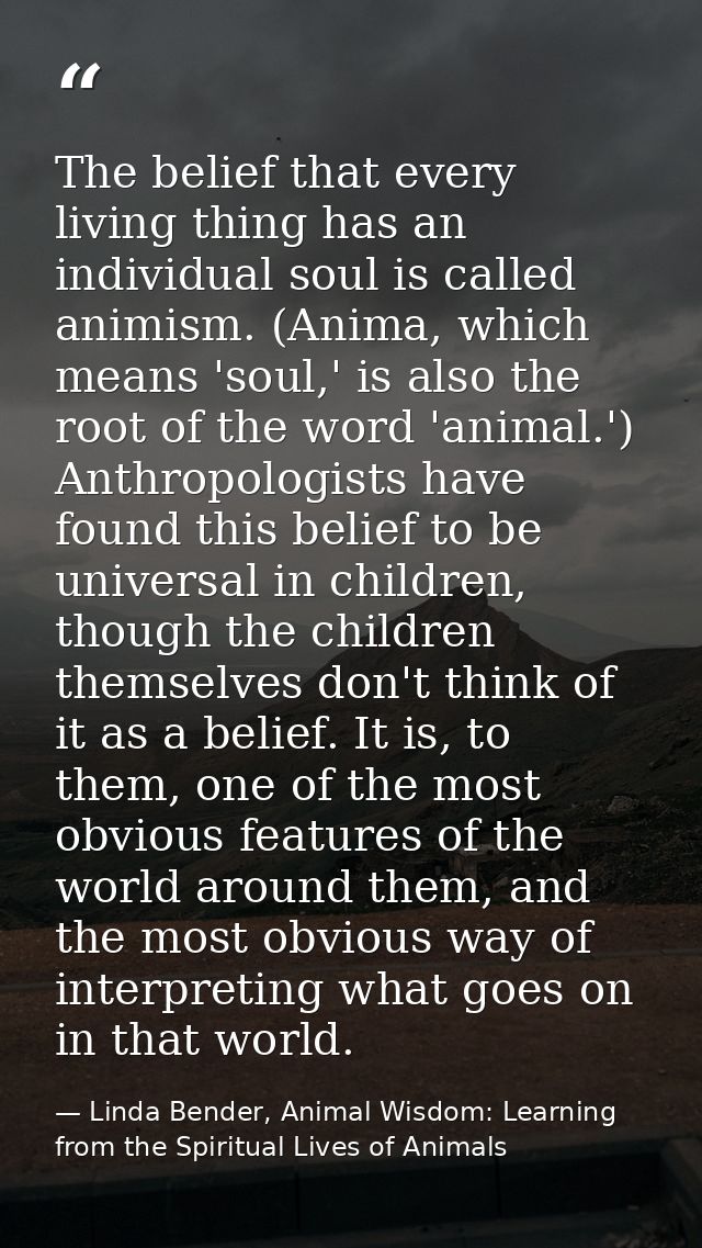 The belief that every living thing has an individual soul is called animism. (Anima, which means 'soul,' is also the roo — Linda Bender, Animal Wisdom: Learning from the Spiritual Lives of Animals