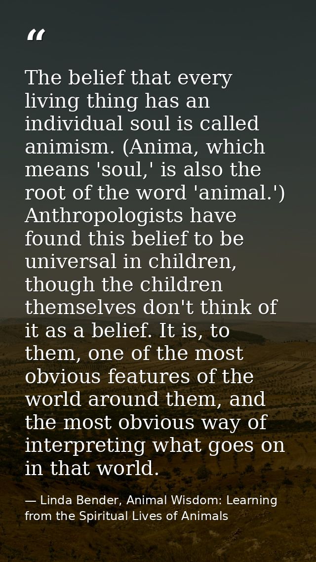 The belief that every living thing has an individual soul is called animism. (Anima, which means 'soul,' is also the roo — Linda Bender, Animal Wisdom: Learning from the Spiritual Lives of Animals